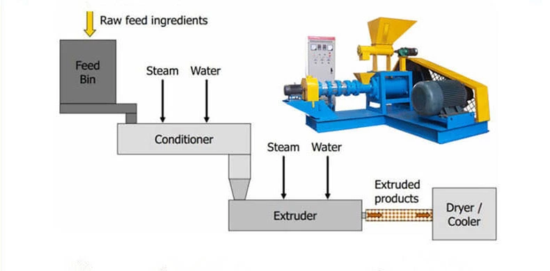 Fish Feed Extrusion Process