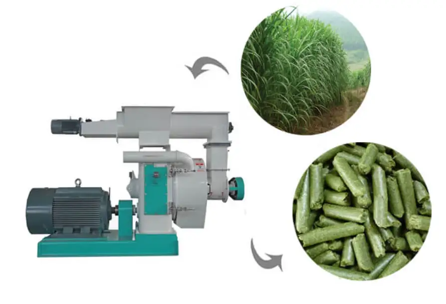 Giant King Grass Pellet Mill/Grass Pellet Plant for Bio-energy